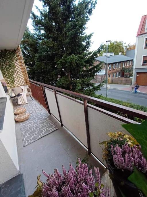 Apartament Podgorna 19 Apartment Torun Exterior photo